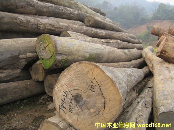 �����M�ڴ��~�t̴ԭľ