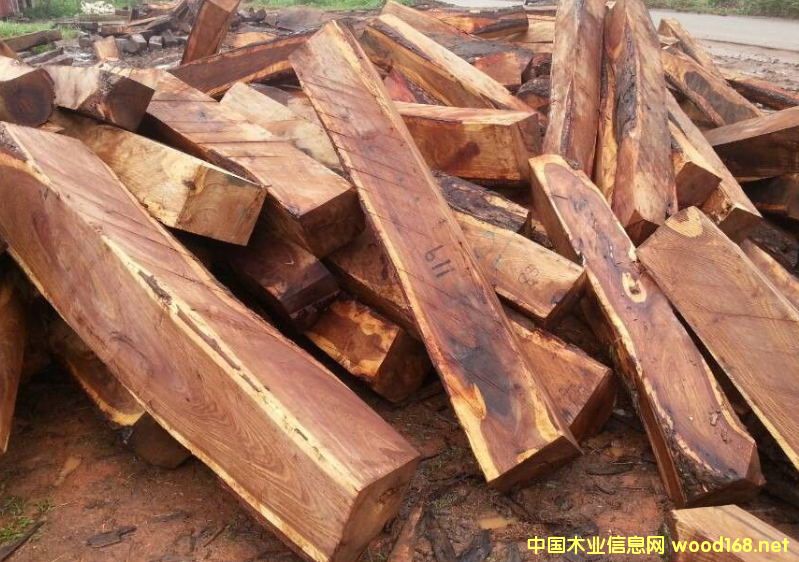 �����M�ڷ�����̴ľԭľ