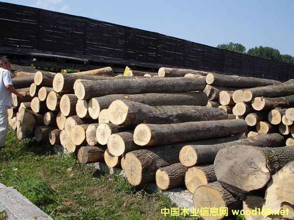 �����M�ڶ��_˹ˮ����ԭľ