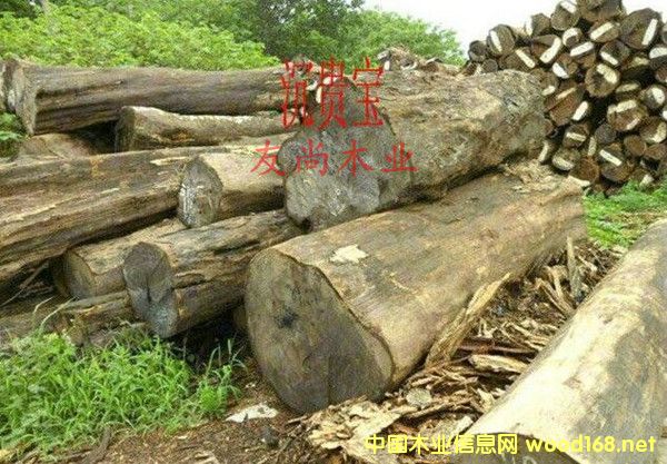 �����M��Īɣ�ȿ˷��޳��F��ԭľ