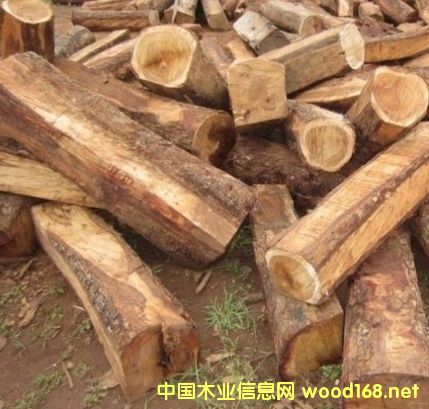 �����M�ڴ����̴ԭľ