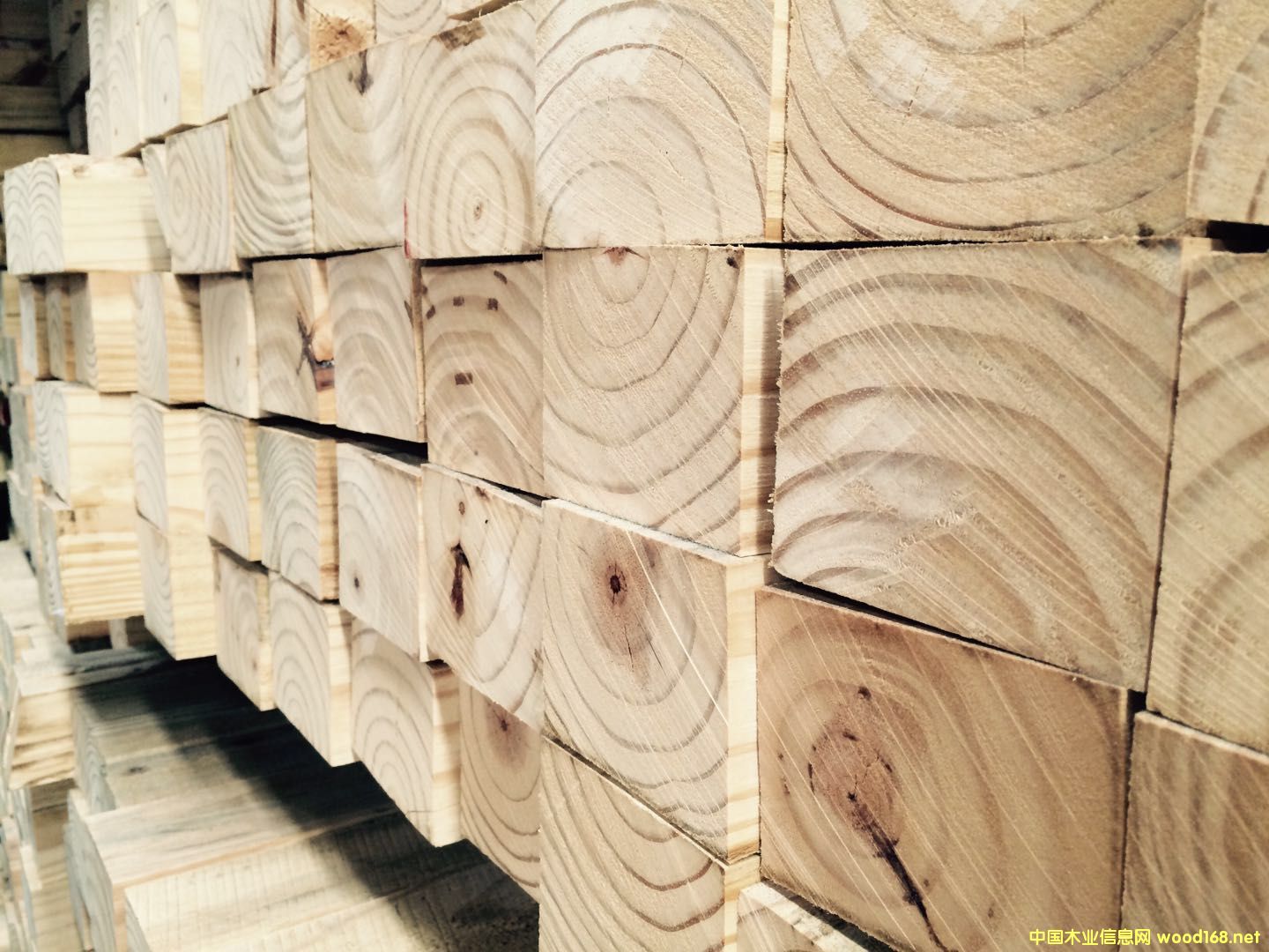 ���� ľ������ ���^���� �@ˇ����