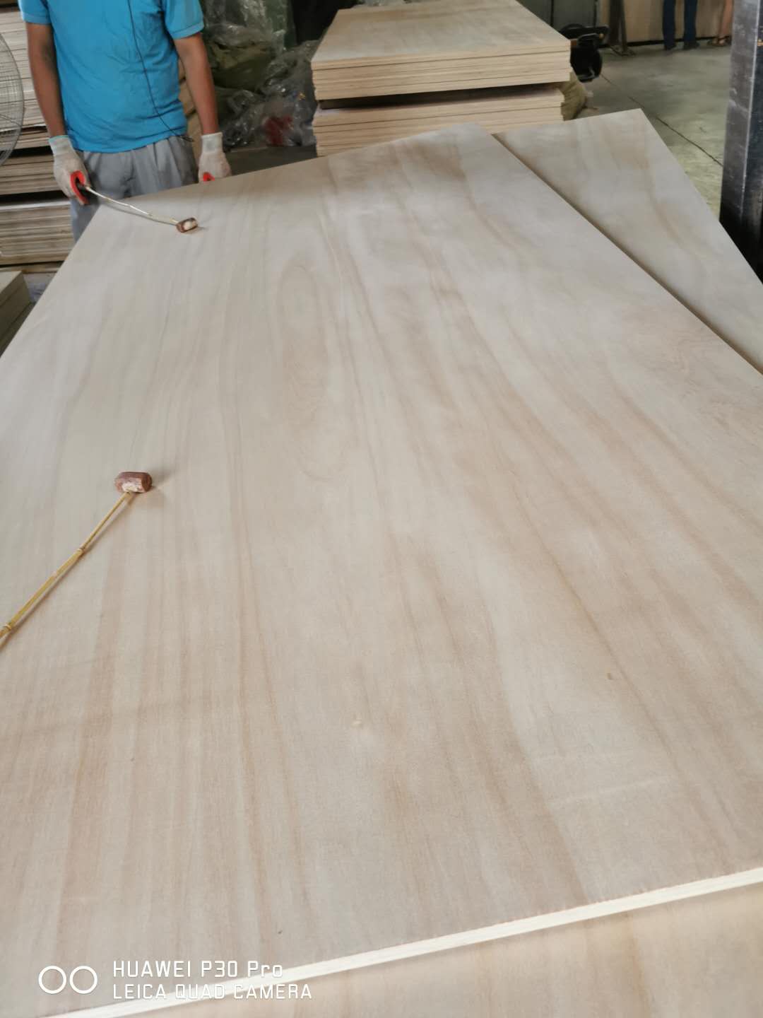 [��] Դ�^�S��11���z�ϰ���Ӱ���b��A���бP��ľ�İ����о��ݎ���