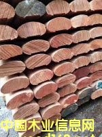 �Ϻ�����ľ�S��  ����ľ�������l