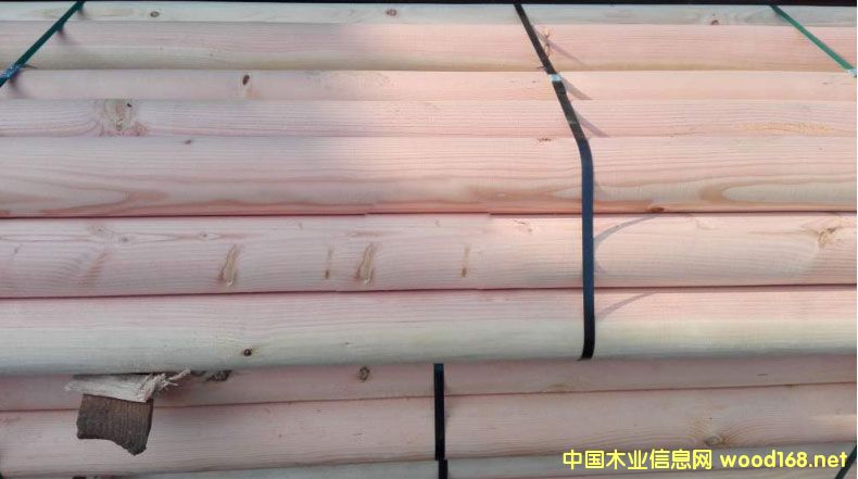 �Ϻ������ɽ���ľ���S��  �����ɹŽ�ľ�����l(f��)