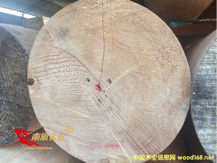 �Fɼľ�S�� ̫�}(c��ng)�Fɼ�Ž�ľ�����l(f��)