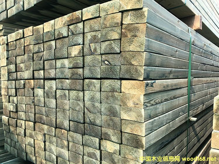 �Ϸ��ɏS��  �Ϸ��ɷ���ľ�r��