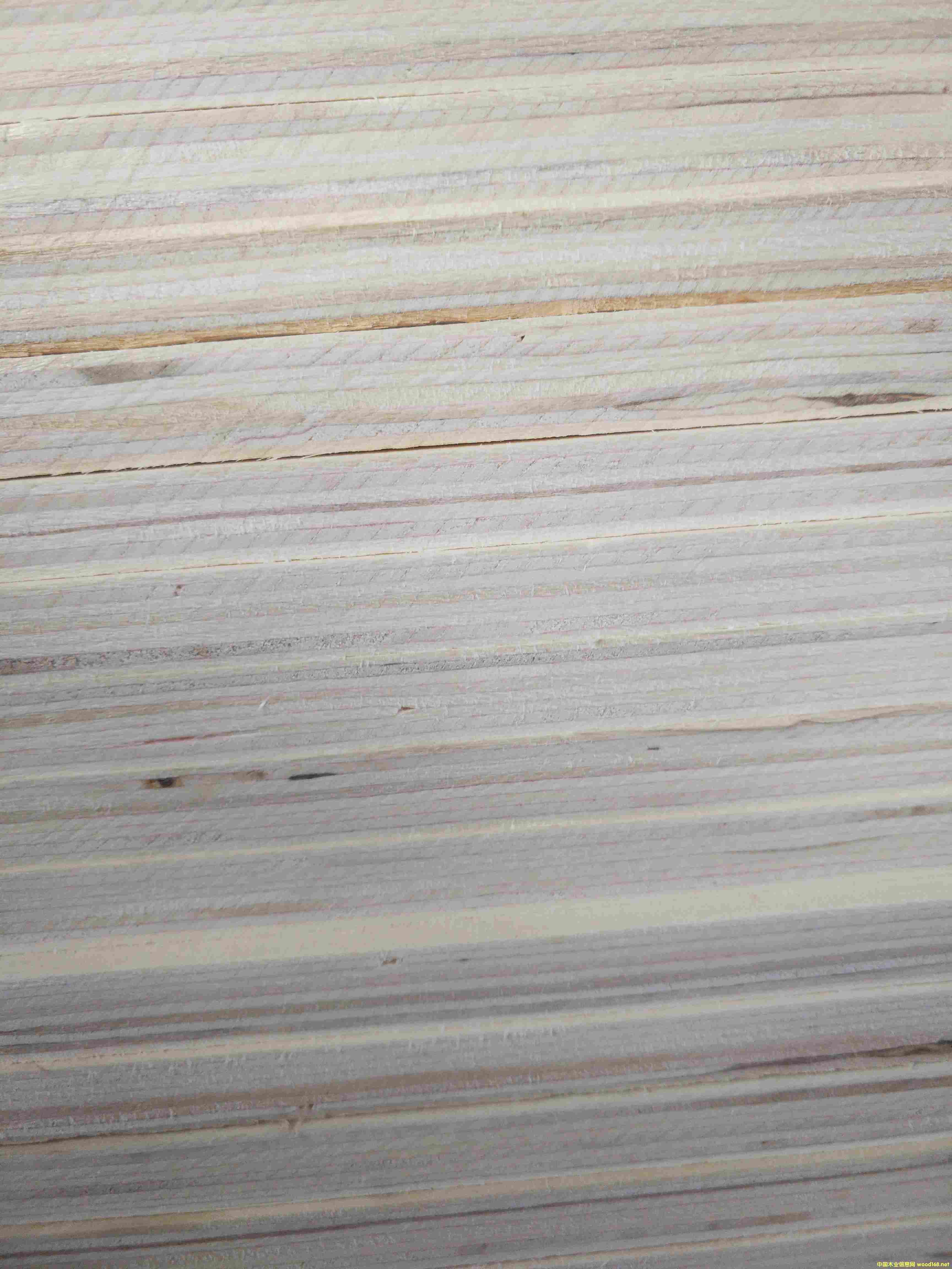 ȫ��11.5��ɳ�l��