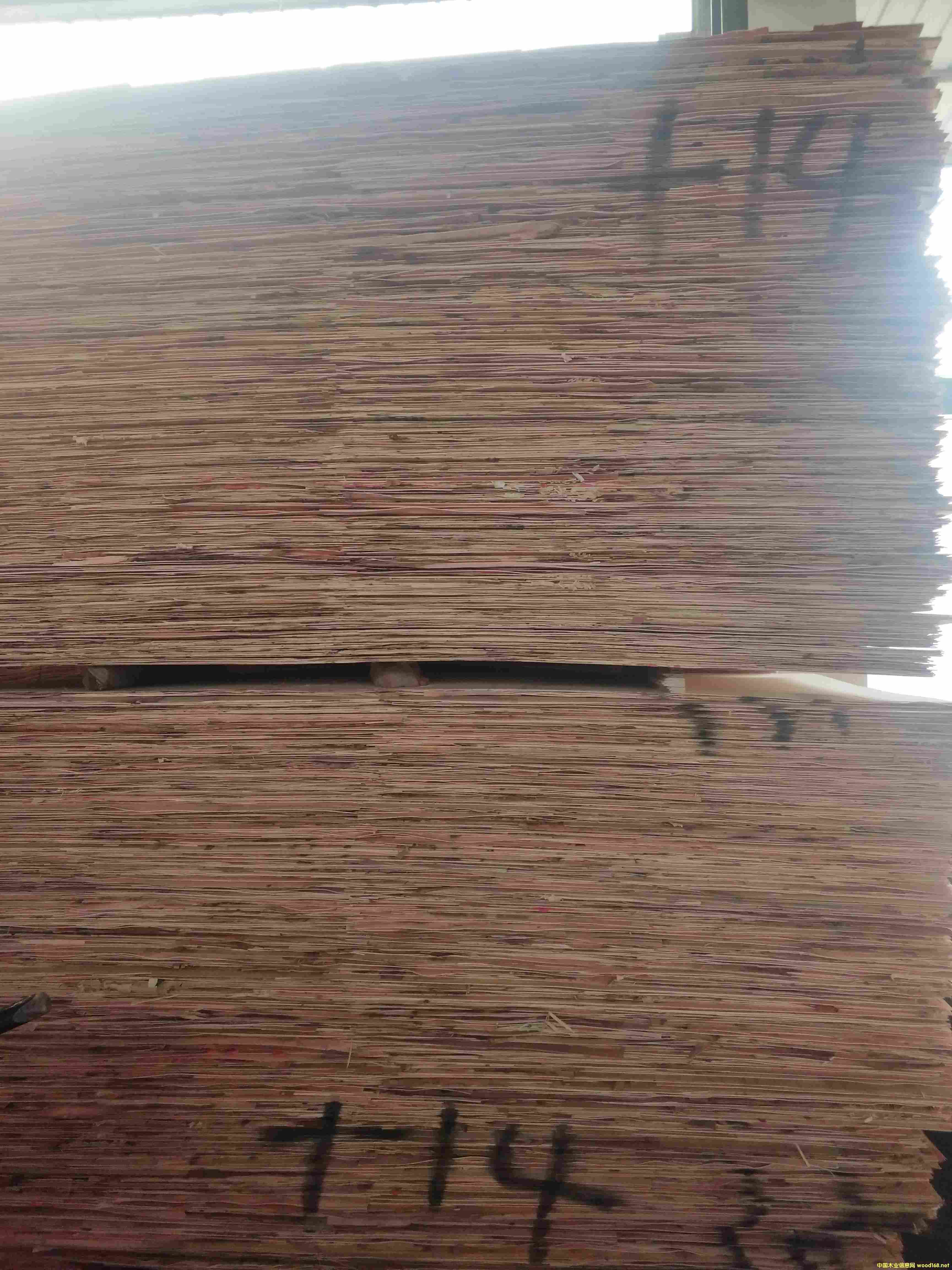 ��14��ŌӰ�