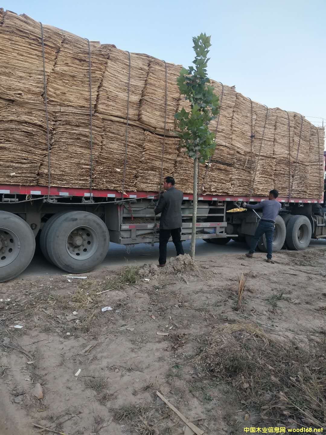 ��ĵ�Ԕ����B