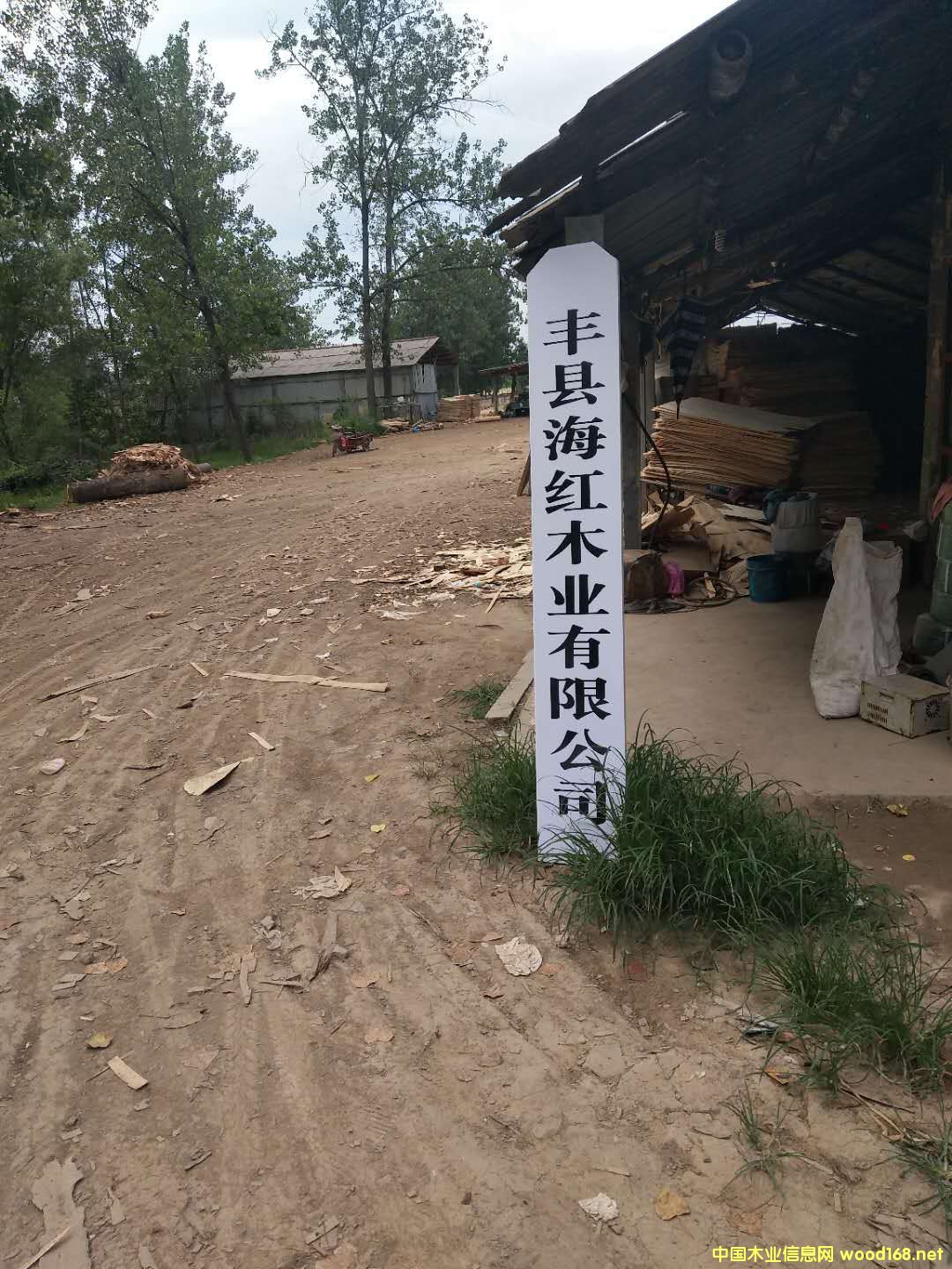 ��ĵ�Ԕ����B