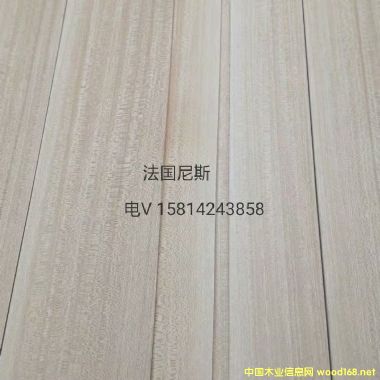 ���|��Ȼ������˹ľƤ