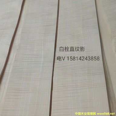 ���|��Ȼ��˨ֱ�yӰľƤ