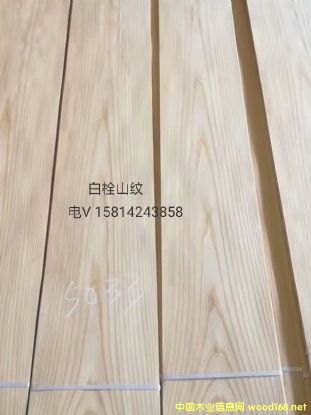 ���|��Ȼ��˨ɽ�yľƤ