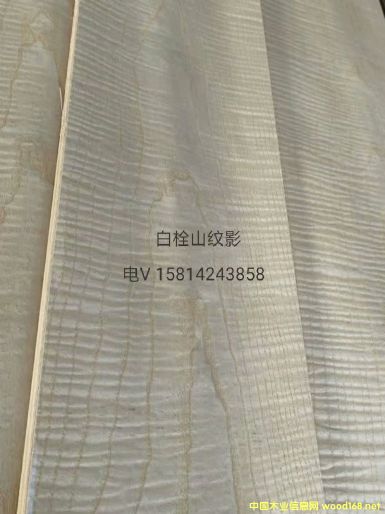 ���|��Ȼ��˨ɽ�yӰľƤ