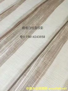 ���|��Ȼ�ϙ��˨ֱ�yӰľƤ