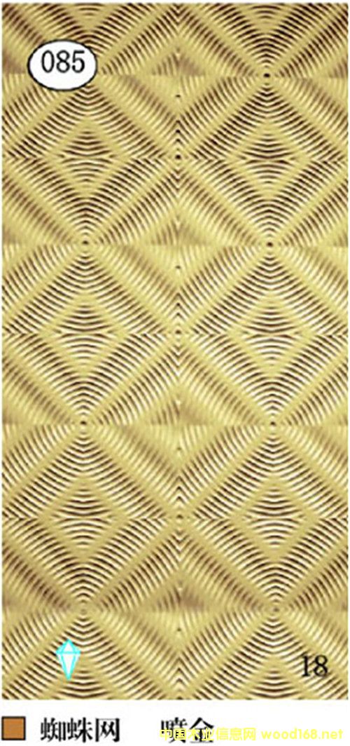 ֩��W���Ͳ��˰�