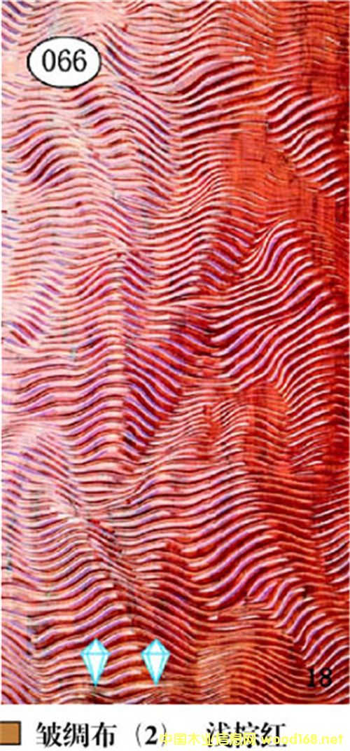 ���I�����˰�