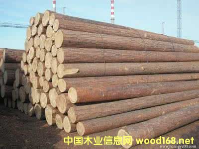 �����M���Fɼԭľ