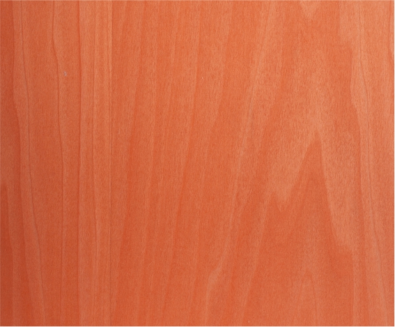 ���R�˳�Ⱦɫľ����