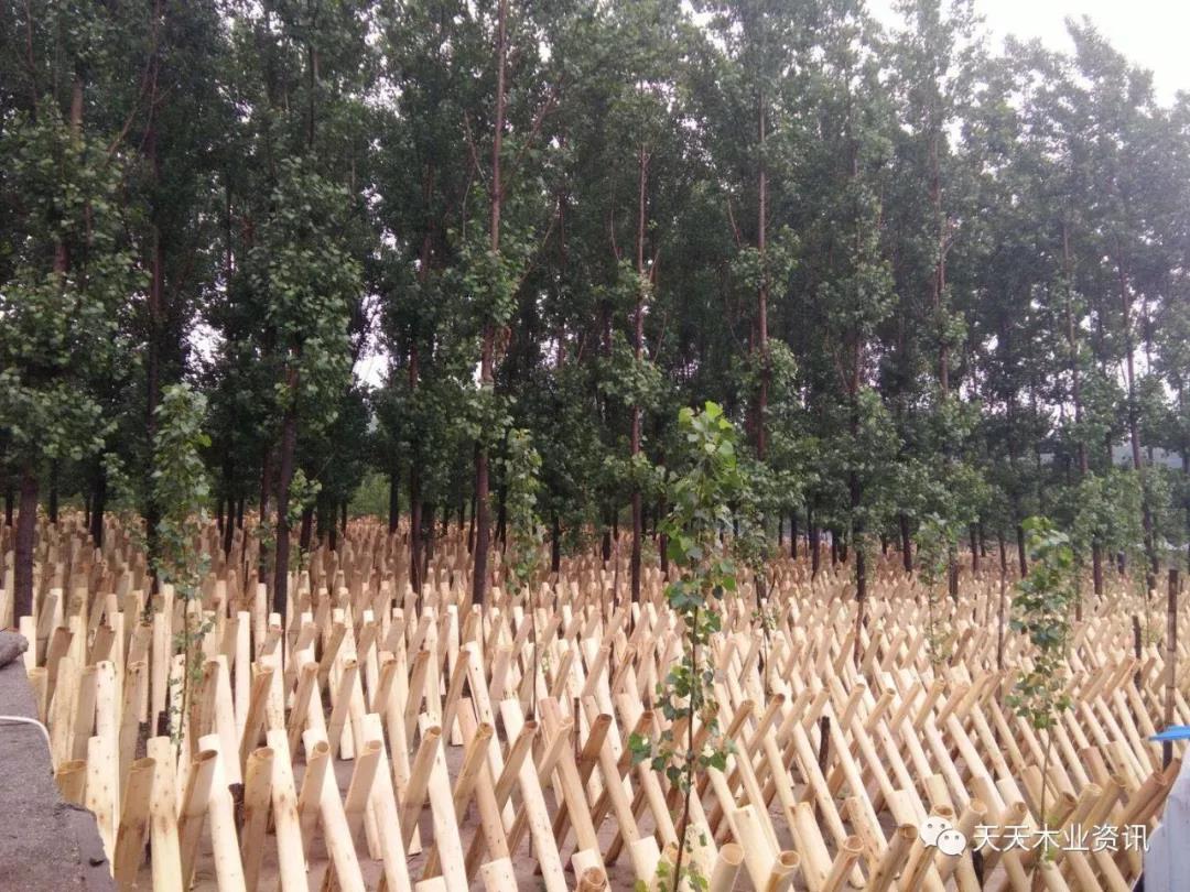  ��Ԕ����B