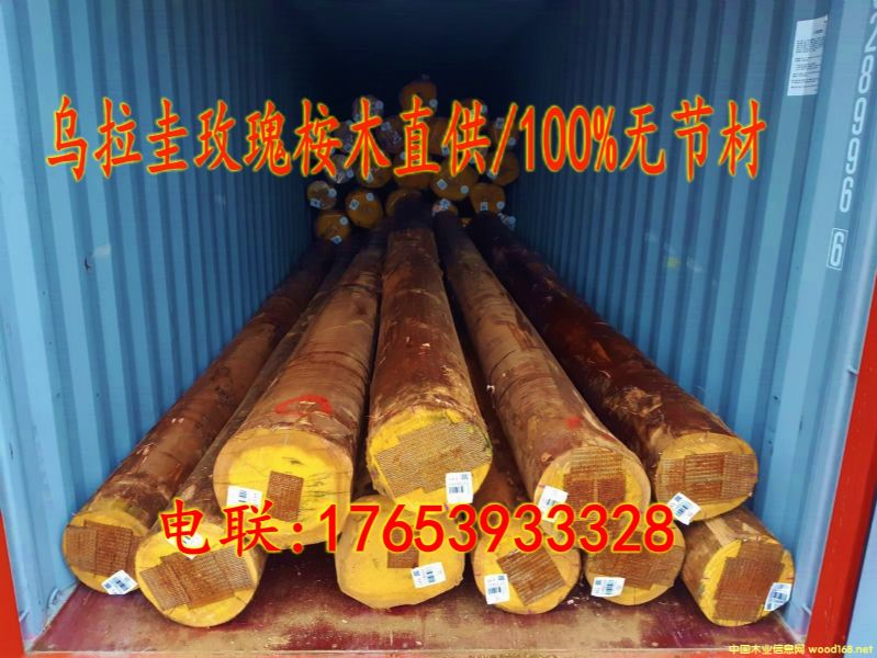 �����M�ڟo����õ����ľԭľ��Ԕ����B