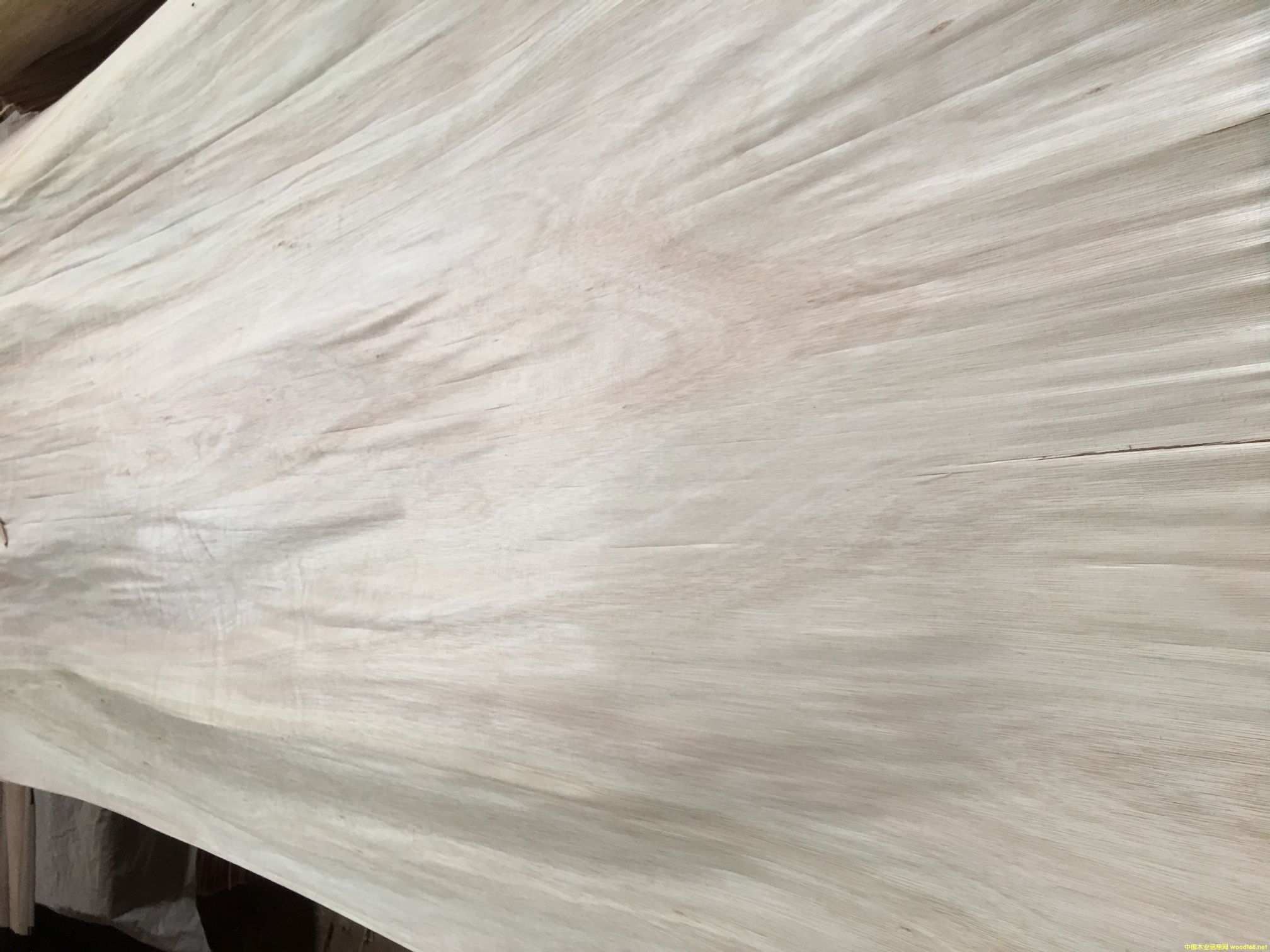 ��������ľ���a��Ƥ�������ʸߵ�Ԕ����B