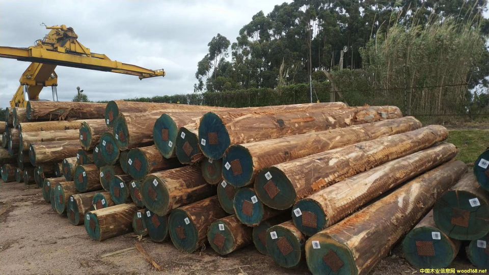 ��������ľ��Ԕ����B