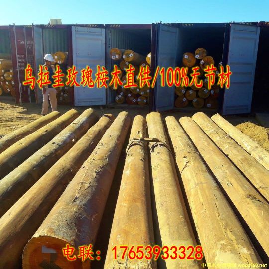 ���N��������ľԭľ��Ԕ����B