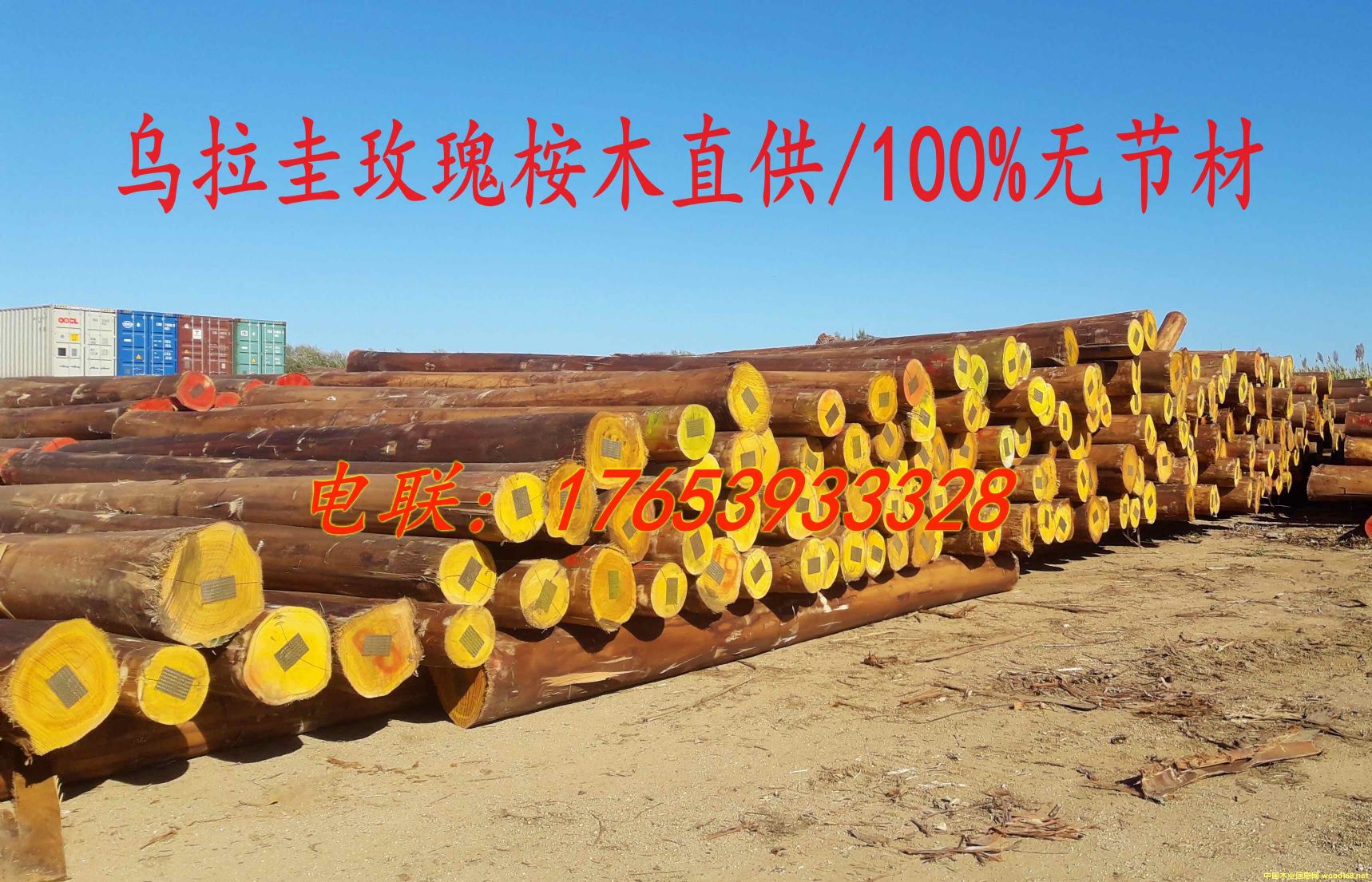 ��������ľԭľ/�o���ĵ�Ԕ����B