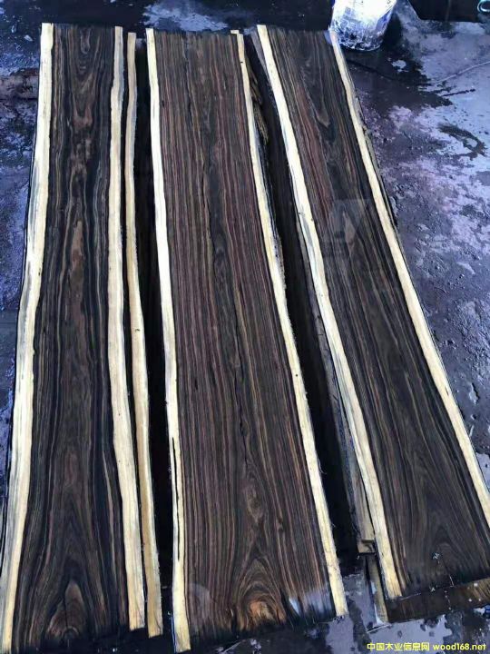 ���F�����|����֦��