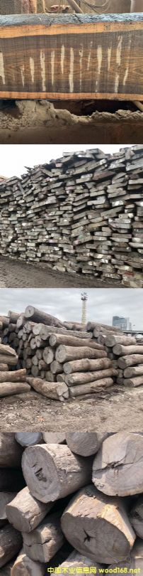 Ƥ�ң��L܇ľ��