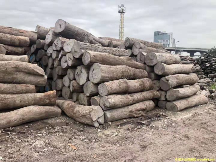 Ƥ�ң��L܇ľ��