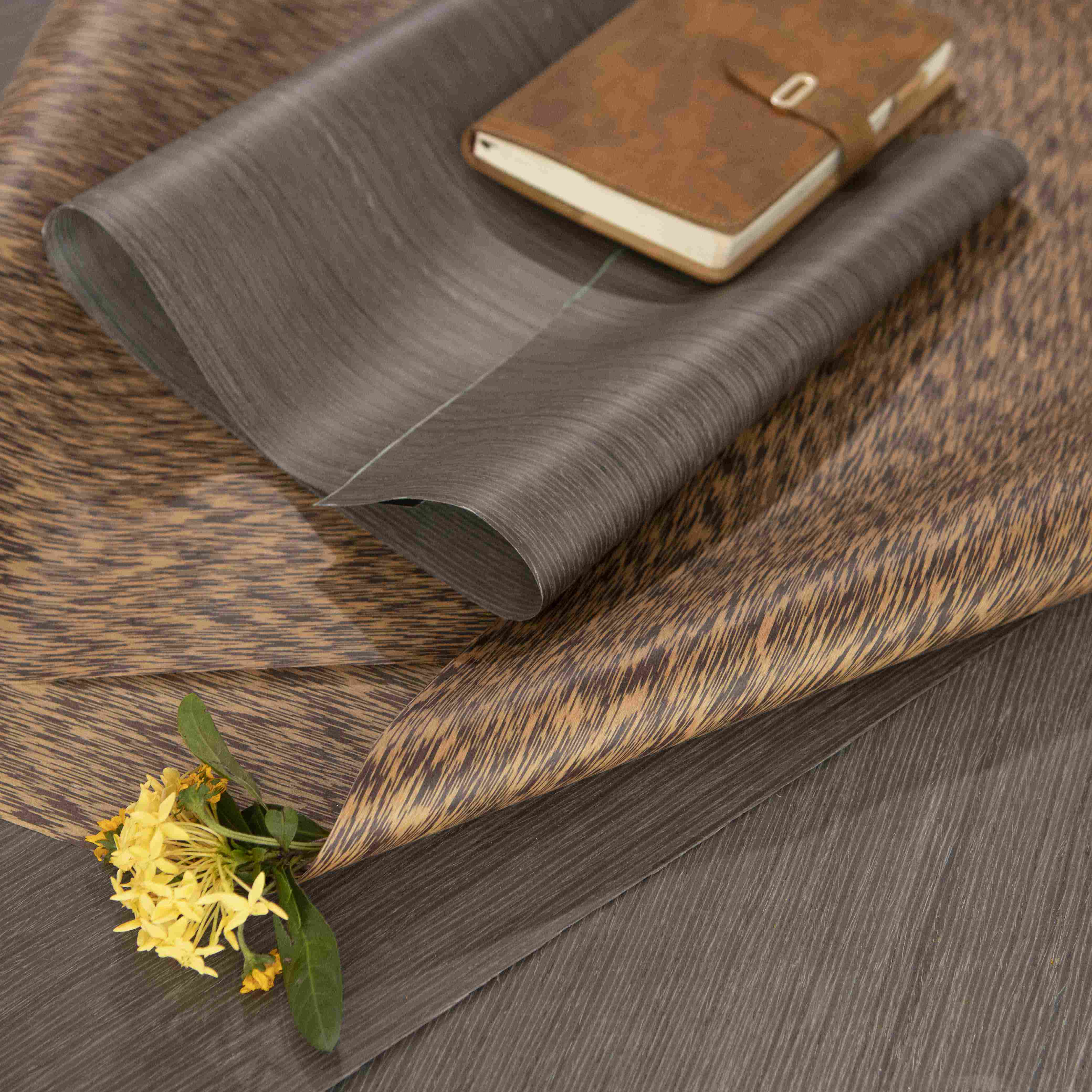 �ұ�����������ľƤ