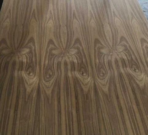 �����ں���