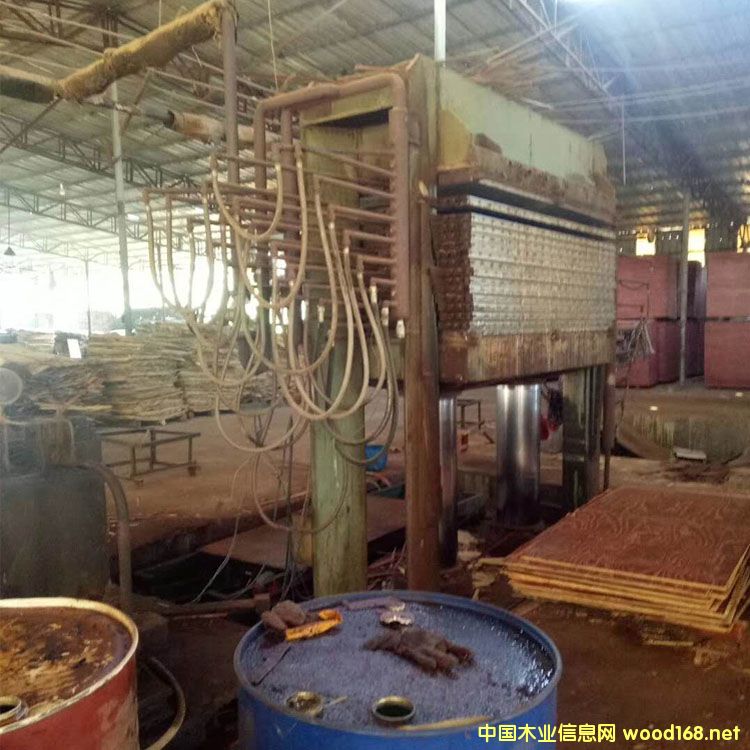 �����݄�(chu��ng)������ʮ��Ӷ���ľ���ቺ�C(j��)�DƬ