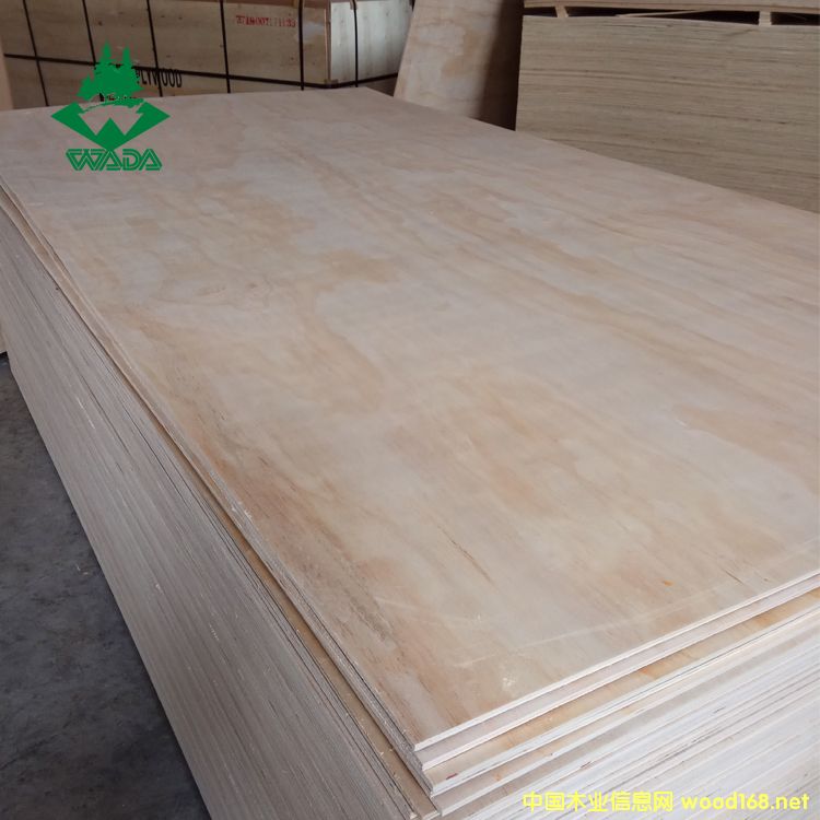 �Ҿ߼��z�ϰ��Ԕ��(x��)��B