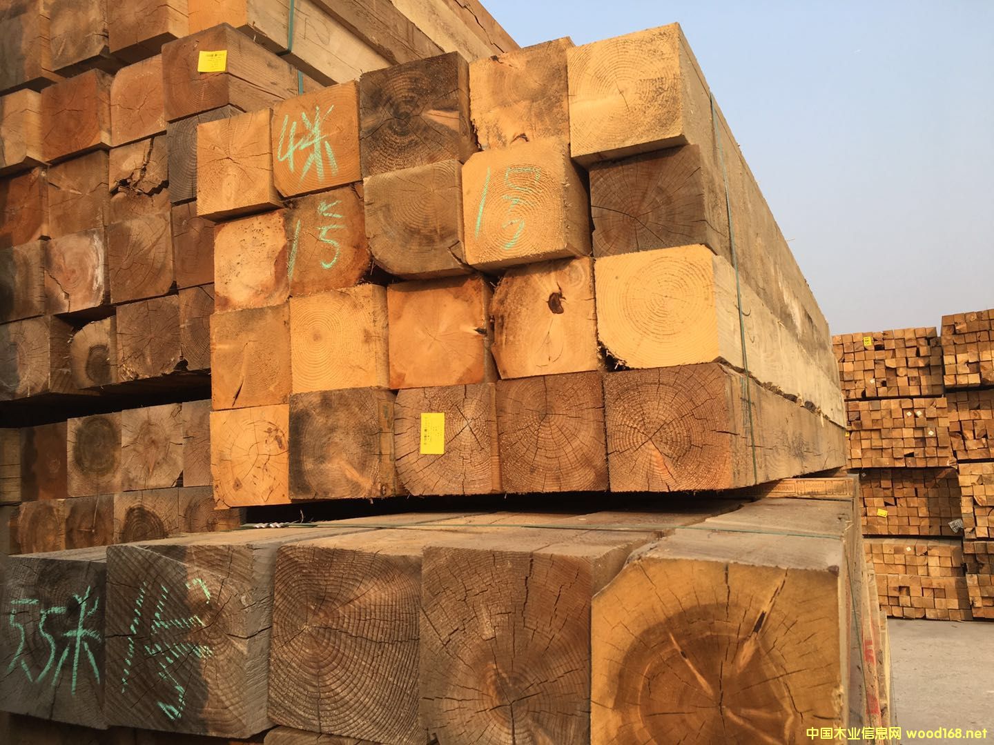 �Fɼ����203*203��Ԕ��(x��)��B