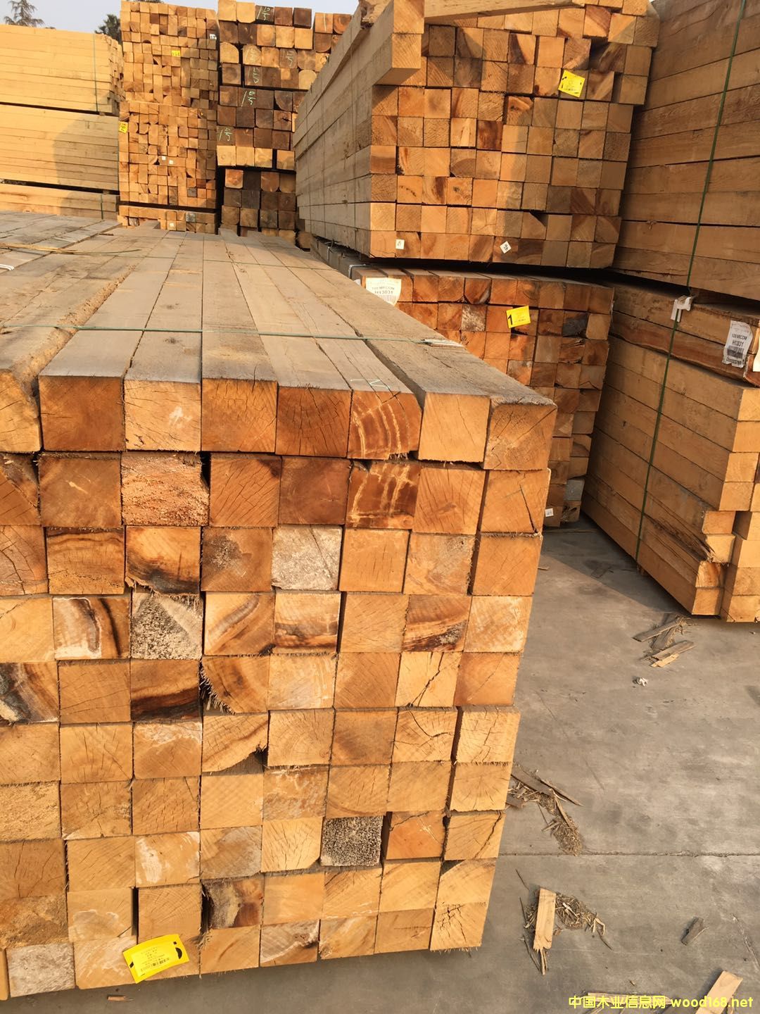 �Fɼ����108*108��Ԕ��(x��)��B