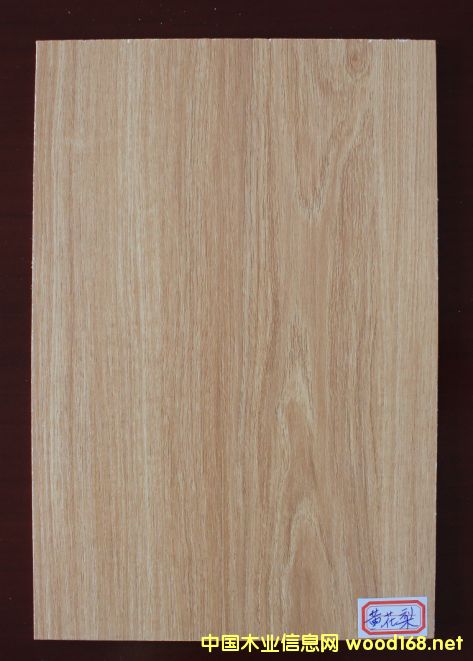 ���B��-�S�����Ԕ����B