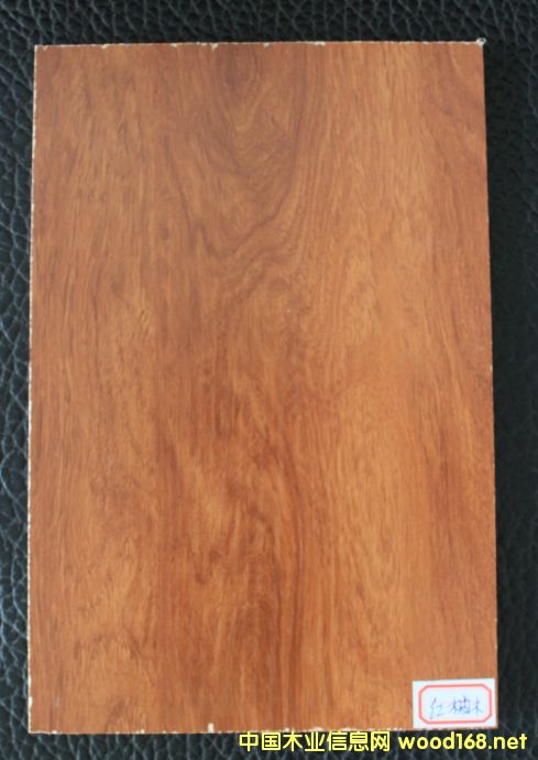 ���B��-�t��ľ��Ԕ����B