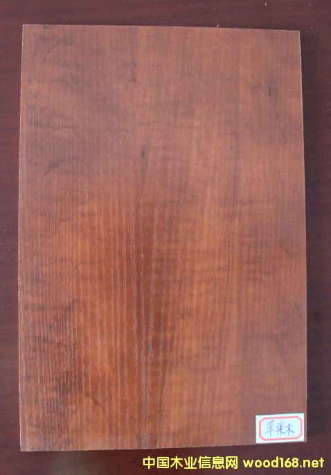 ���B��-�O��ľ��Ԕ����B