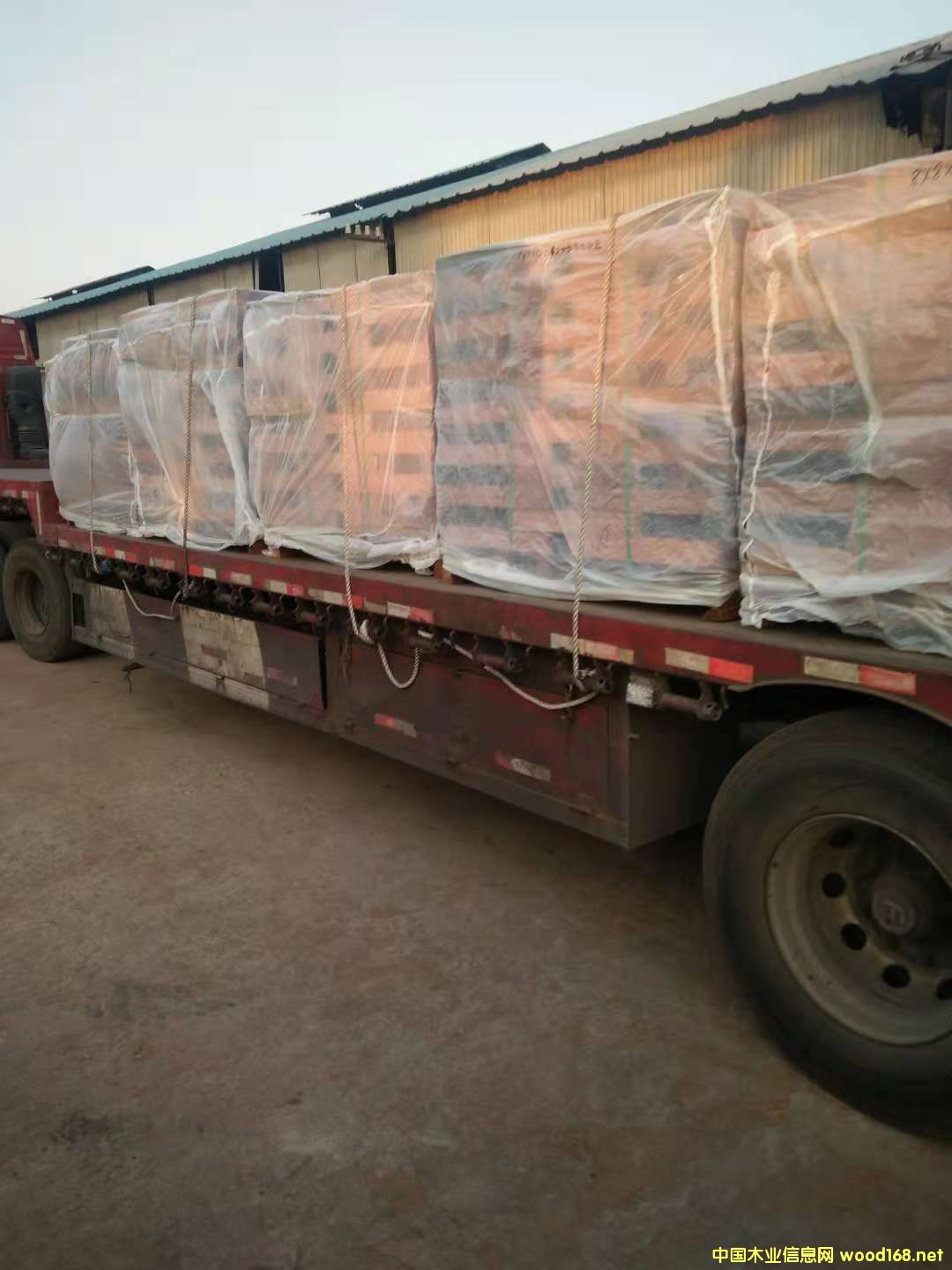 ɳ���������ϵ�Ԕ����B