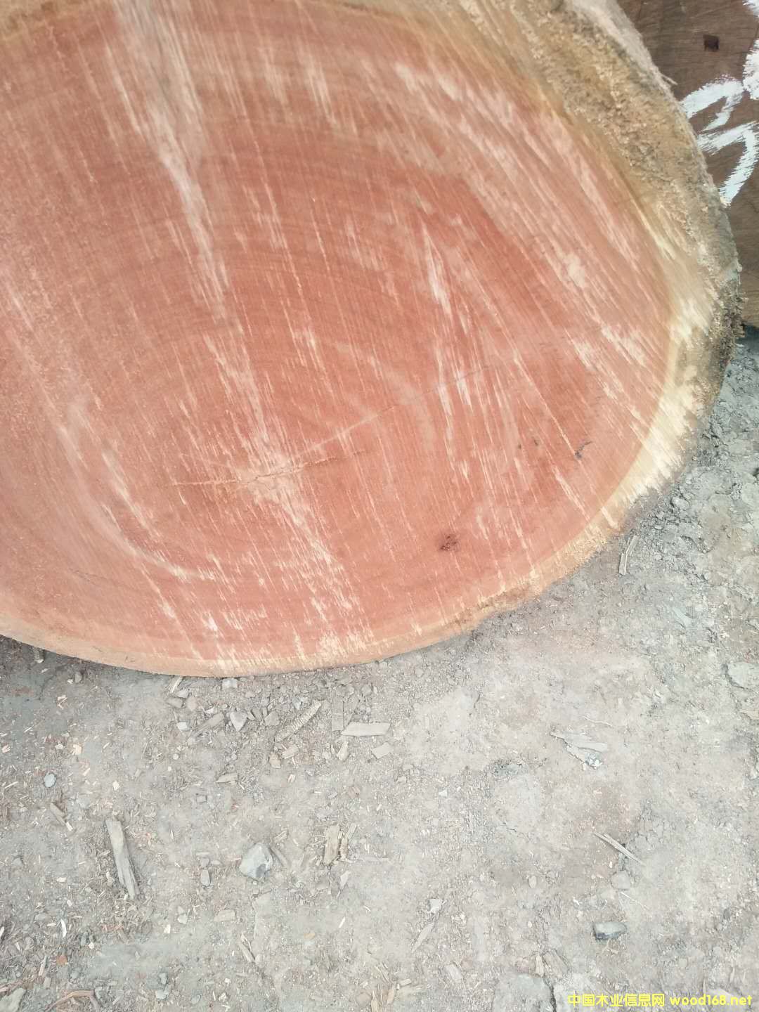 ɳ����������