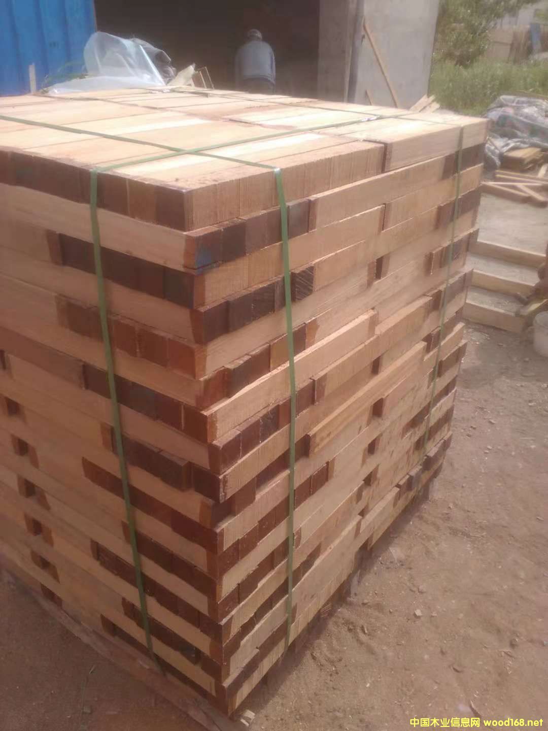 ɳ����������