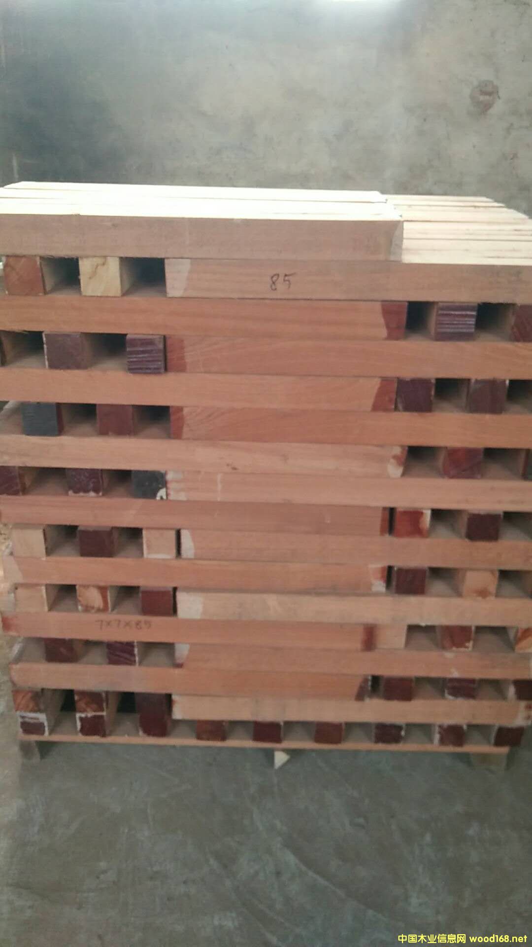 ɳ����������