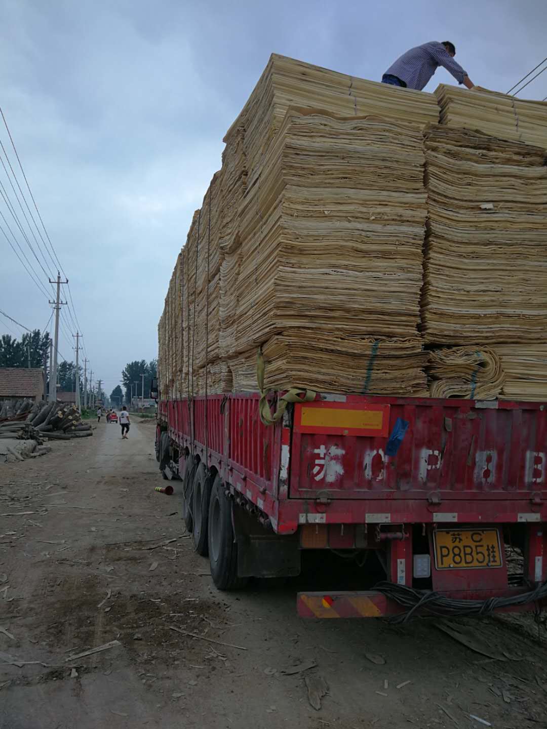 ��ľƤ�ӵ�Ԕ����B