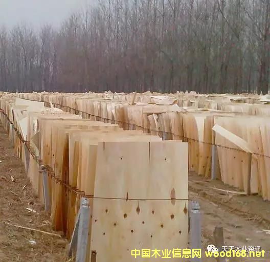 ��ľƤ�ӵ�Ԕ����B