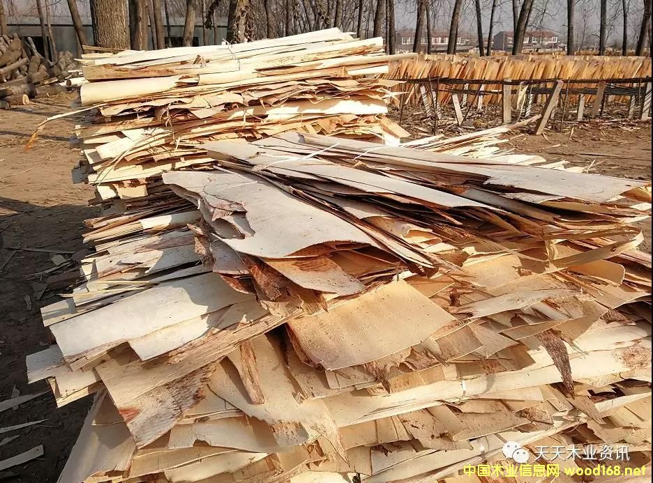 ��ľƤ�ӵ�Ԕ����B