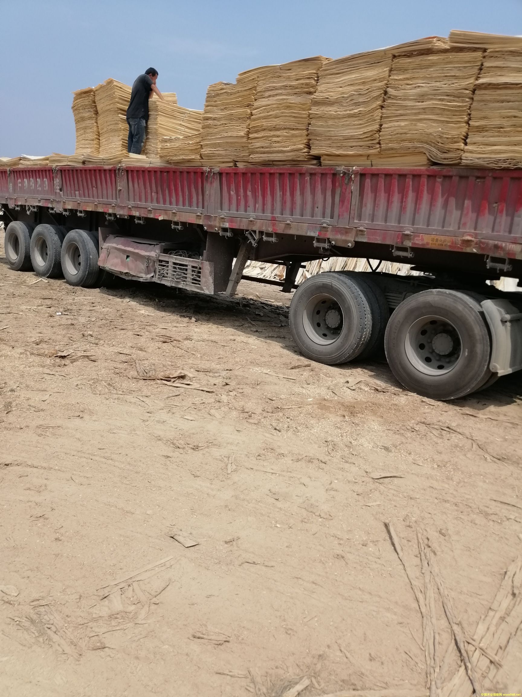 �S�h�΅R�S��ľƤ